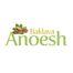 Anoesh-baklava-logo