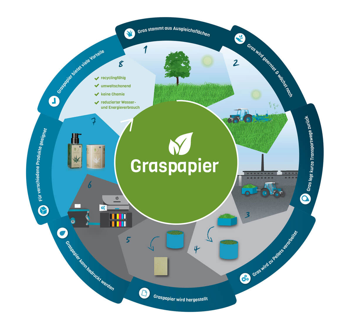 Graspapier_Kreislauf_Herstellung