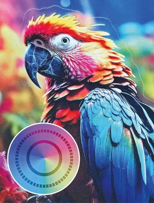 PP-folie-transparant-50µm-transparant-PET-draagmateriaal